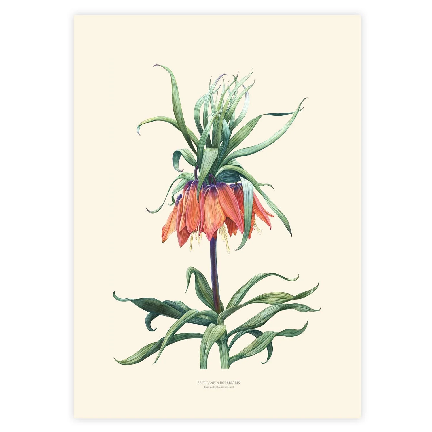 A3 - Fritillaria - Lysegul bag.jpg