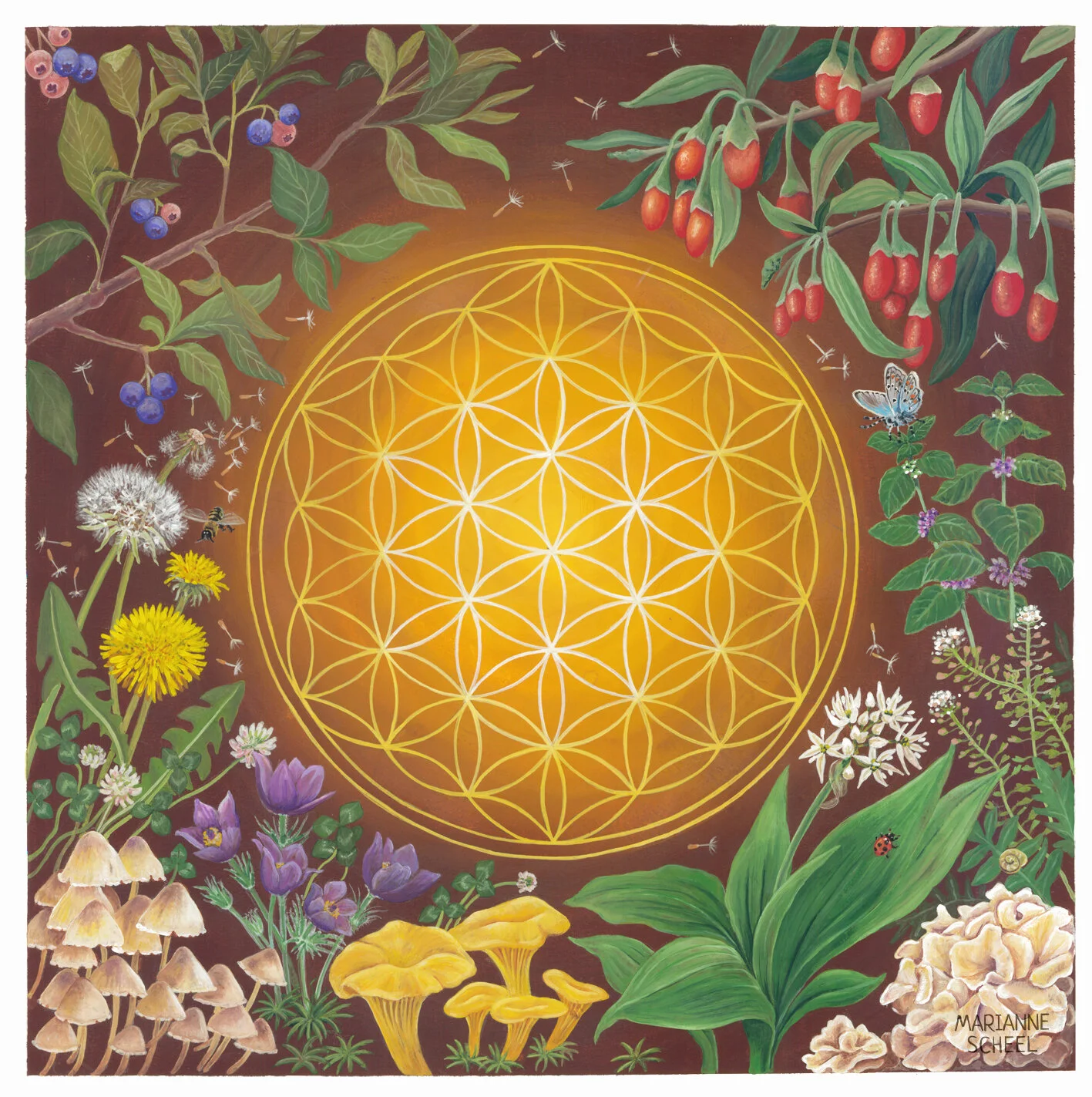 Flower of life.jpg
