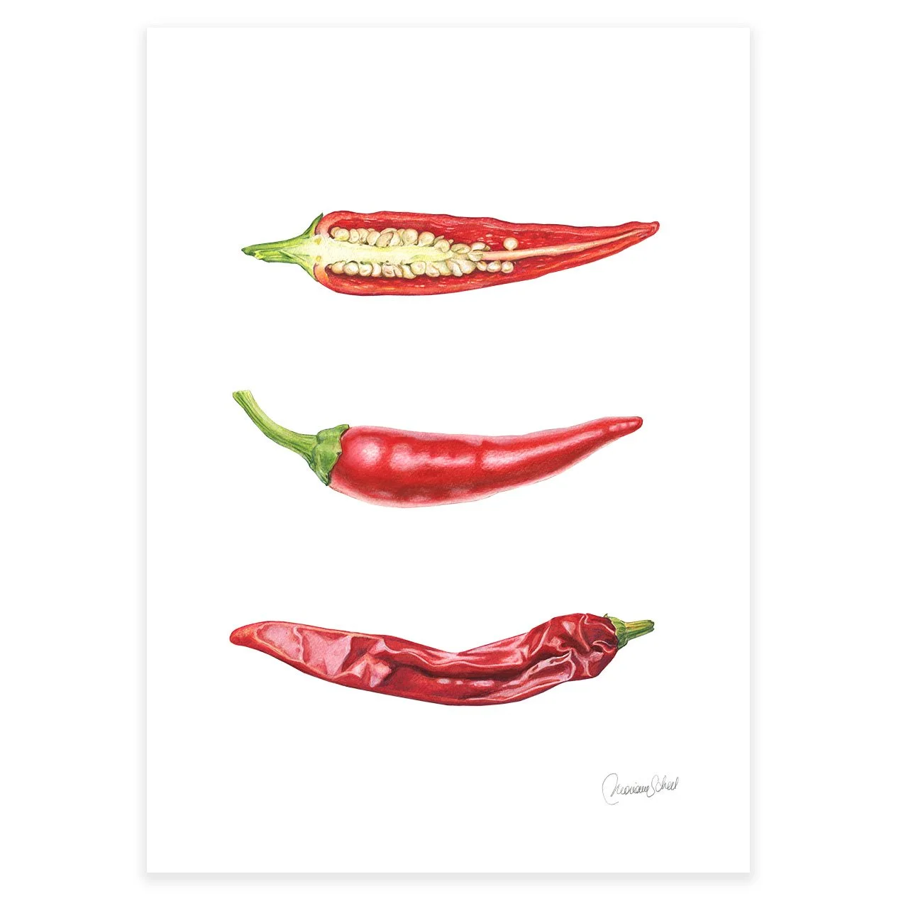kunstplakater A4-A3 -chillies.jpg