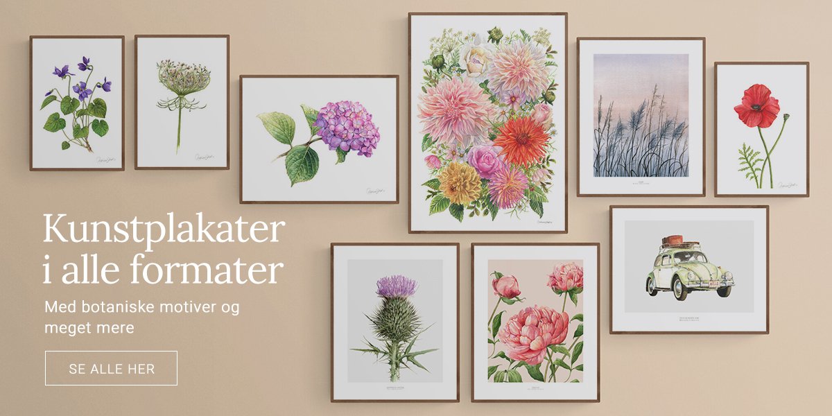 kunstplakater-alle-formater-botaniske-blomstermotiver-plantemotiver.jpg