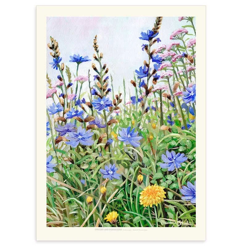 Landskabsmaleri-kunst-landskab-oliemaleri-håndmalet-dansk-natur-marker-bakker-50x70-cm-uden-ramme-Cikorier-og-mælkebøtter-vild-mark-landskab-kunstplakater-marianne-scheel.jpg