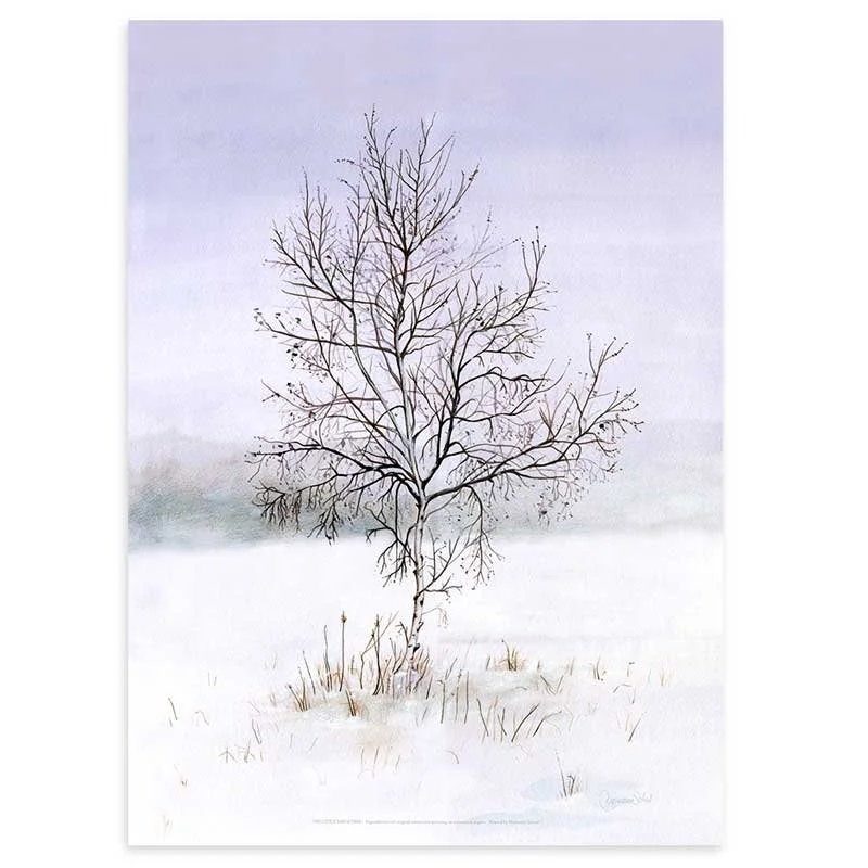 50x70-cm-uden-ramme-birketræ-birk-vinter-mark-landskab-kunstplakater-akvarel-marianne-scheel.jpg
