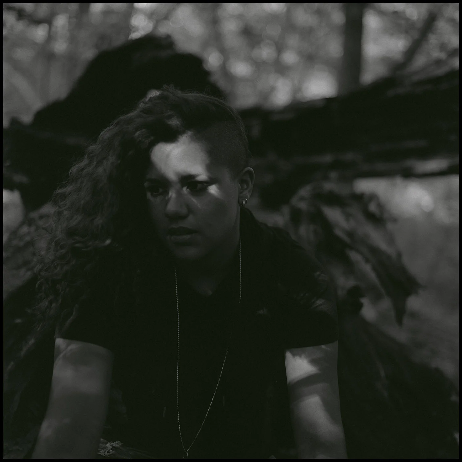 Be, in the Shadow of an Uprooted Tree