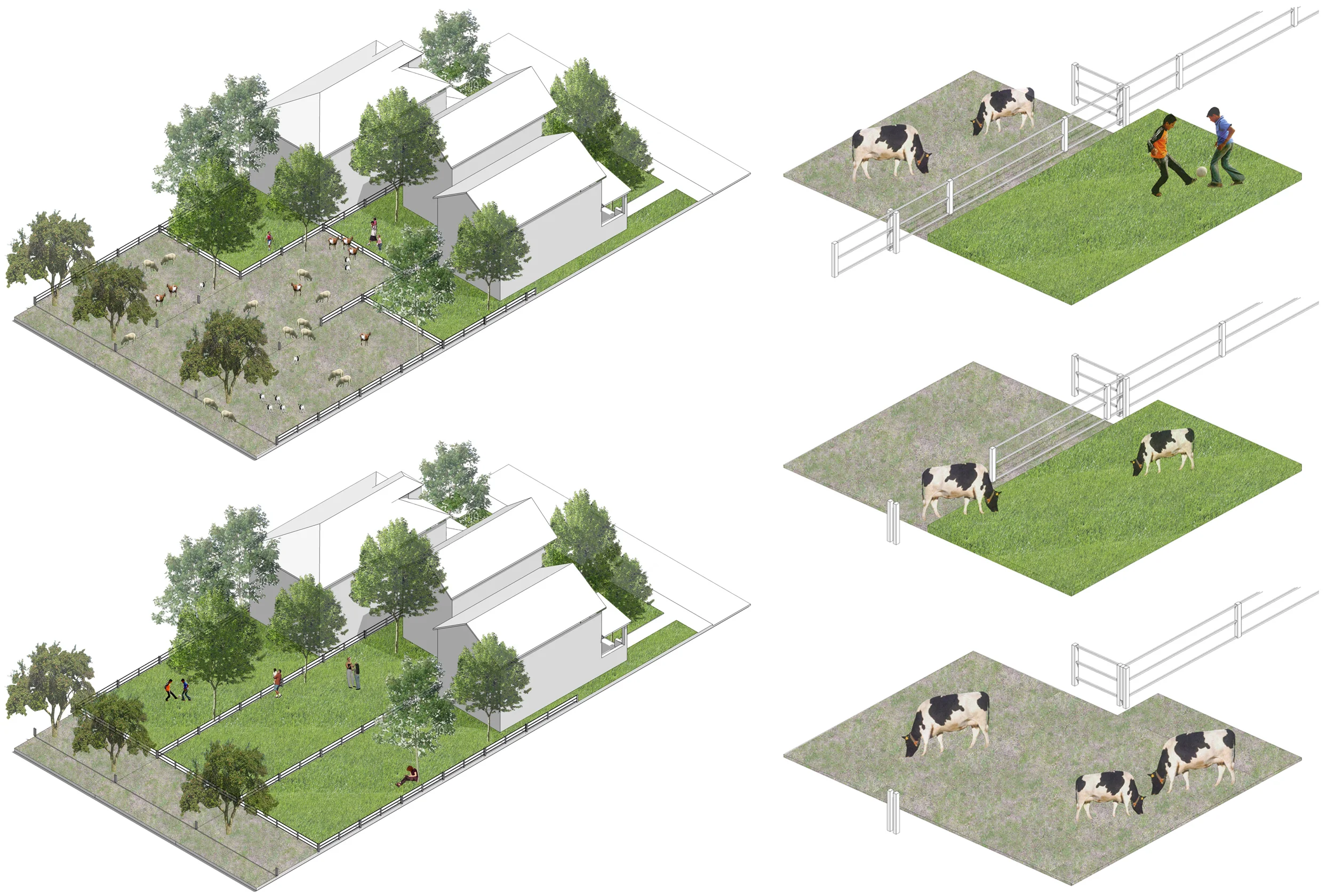 06_Backyard Grazing_alternating use diagram_web.jpg