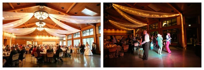 Wedding Lights L&A