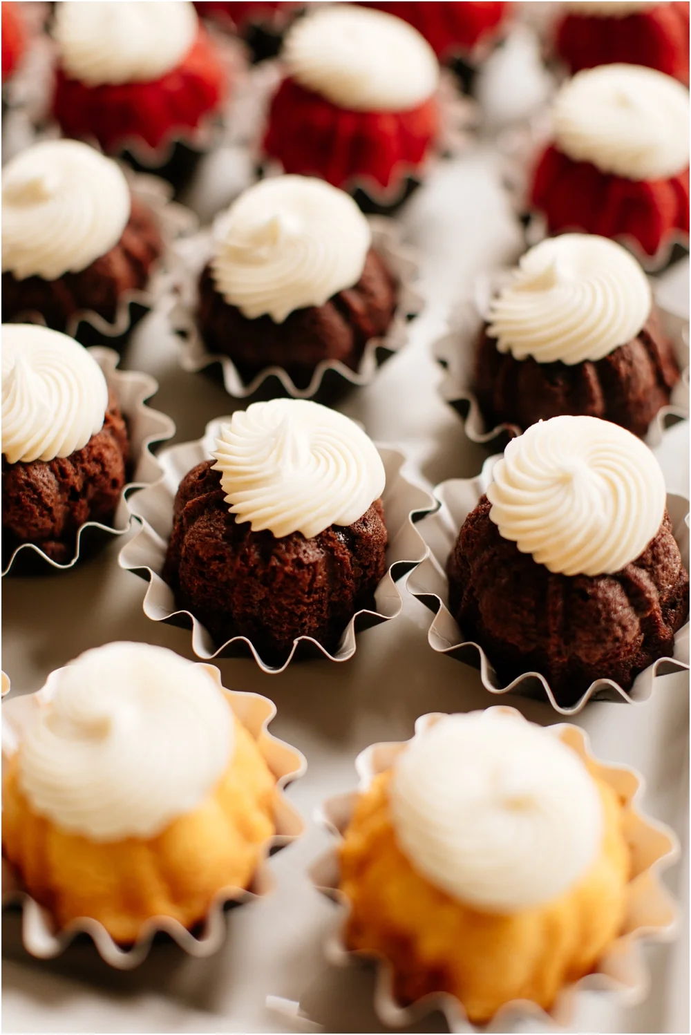 The_Knot_Pro_Minnesota_Mixer_Minneapolis_Wedding_Planner_1068.jpg