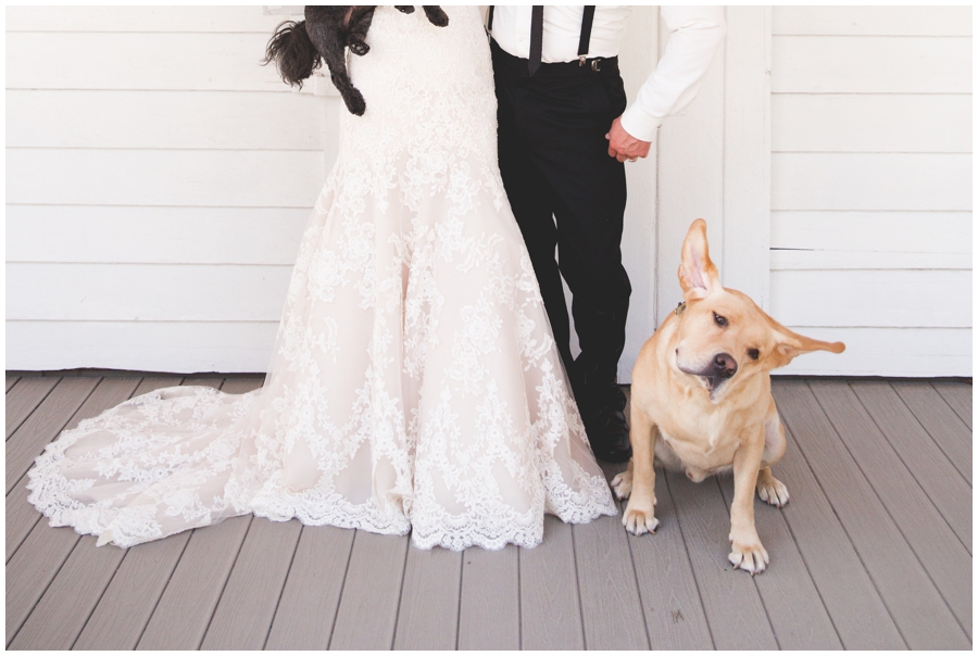  bride and groom with dog 