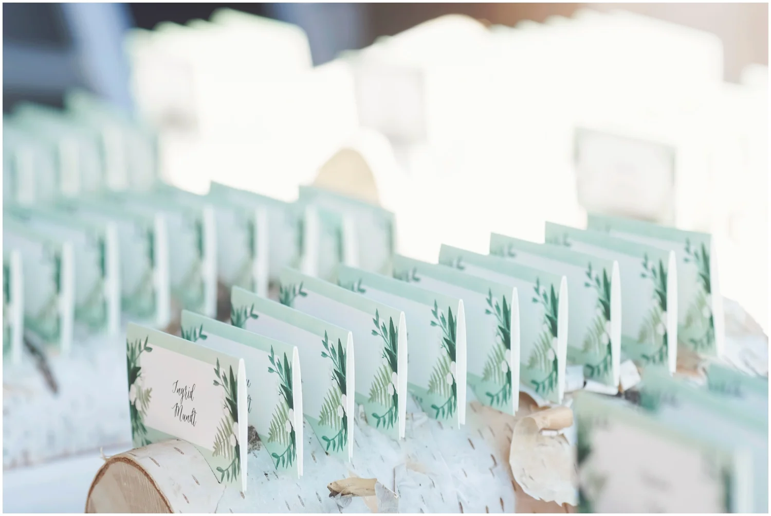 Wisconsin wedding planner