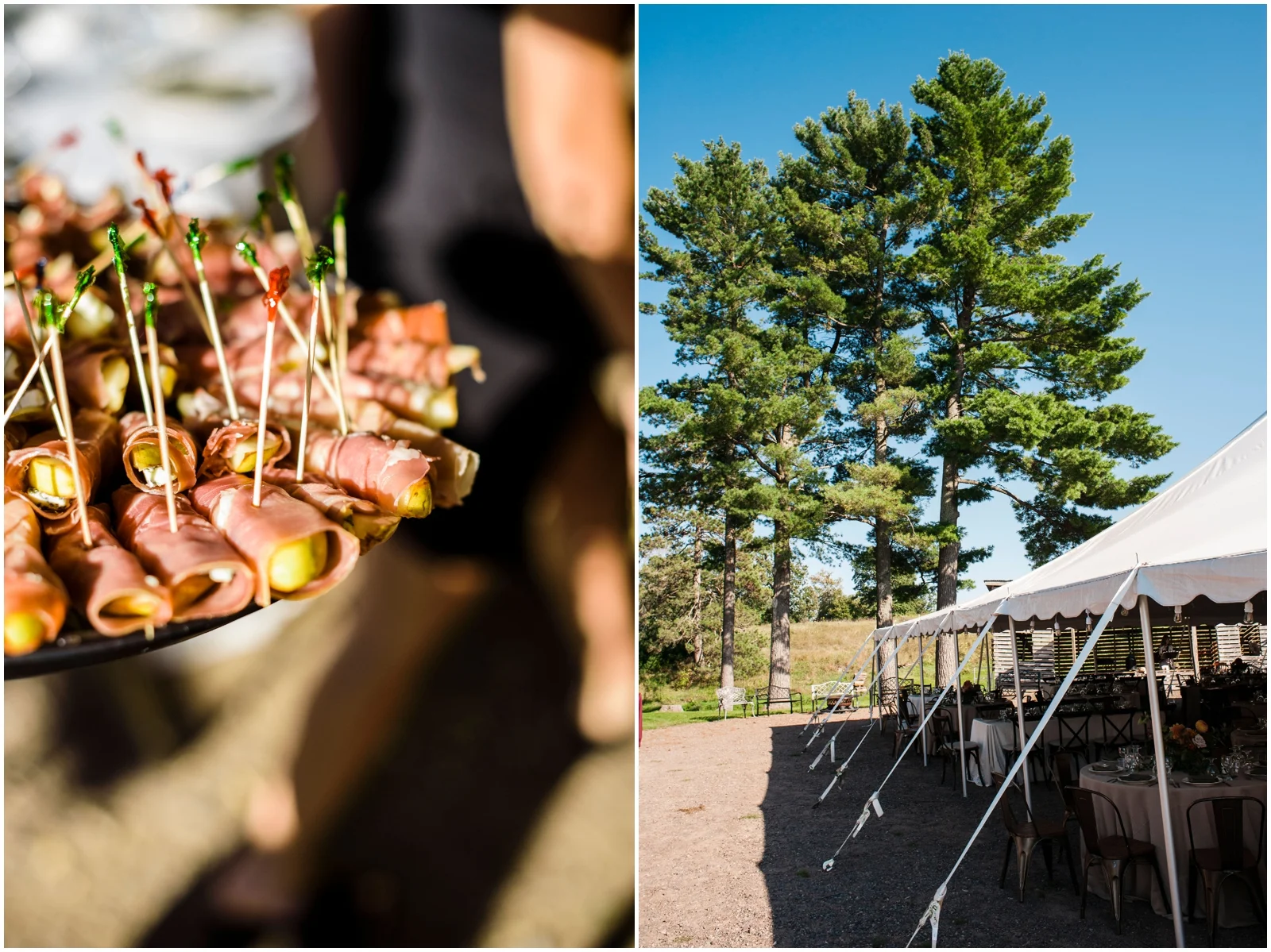 Wisconsin wedding planner
