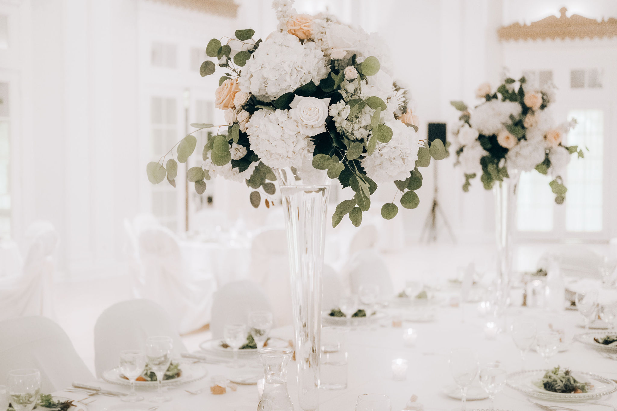 Pouran + Link's Wedding at The Lafayette Club