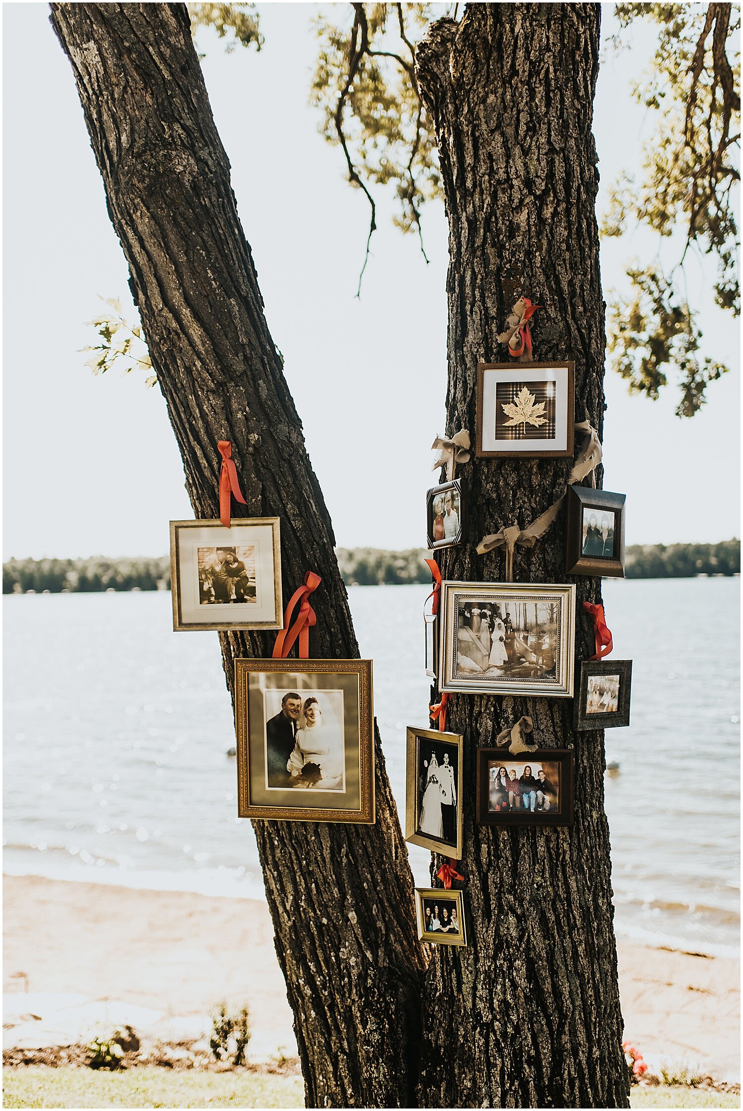  photos of bride and groom’s families on the trees 