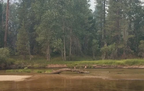 20180716_180346.jpg