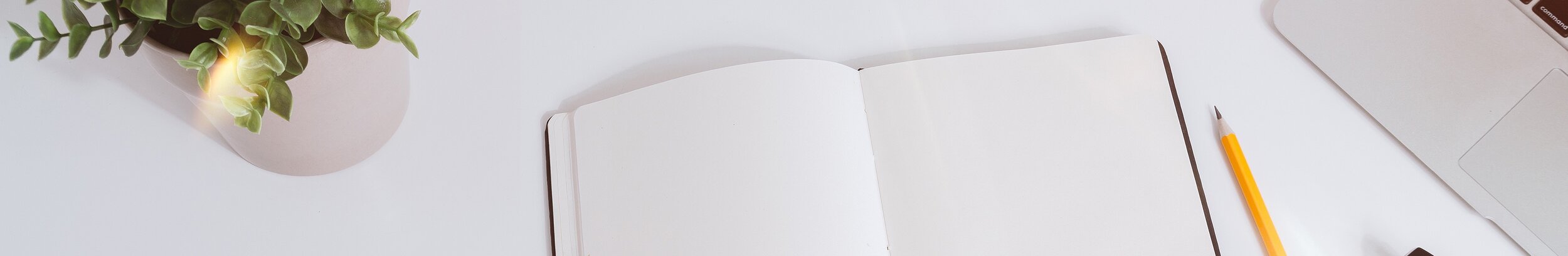case studies - banner.jpeg