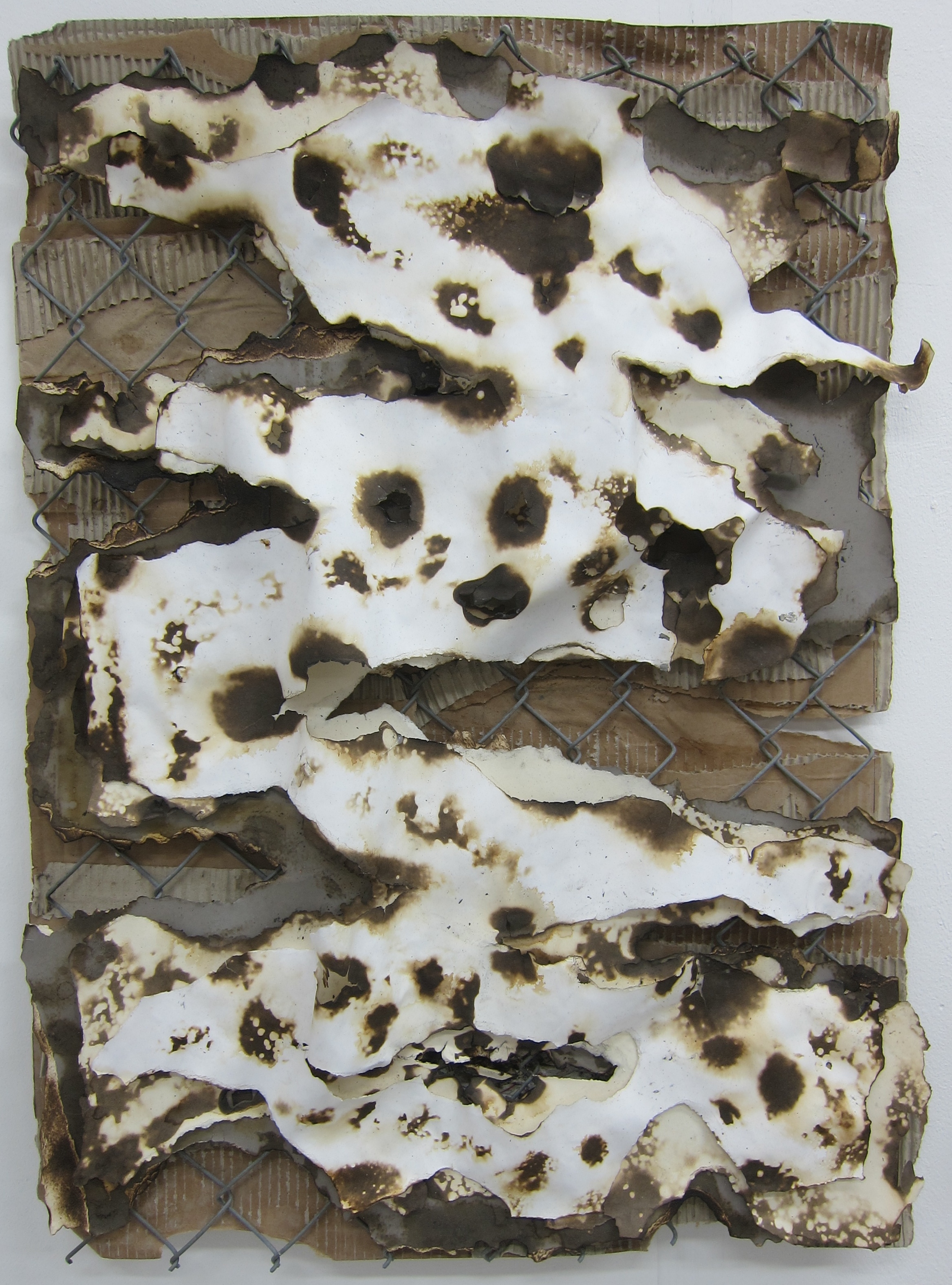   Burnt Lasagne (triple singe).   Cardboard, fence, paper, fire and water.&nbsp;  80 x 58 cm.  2015. 