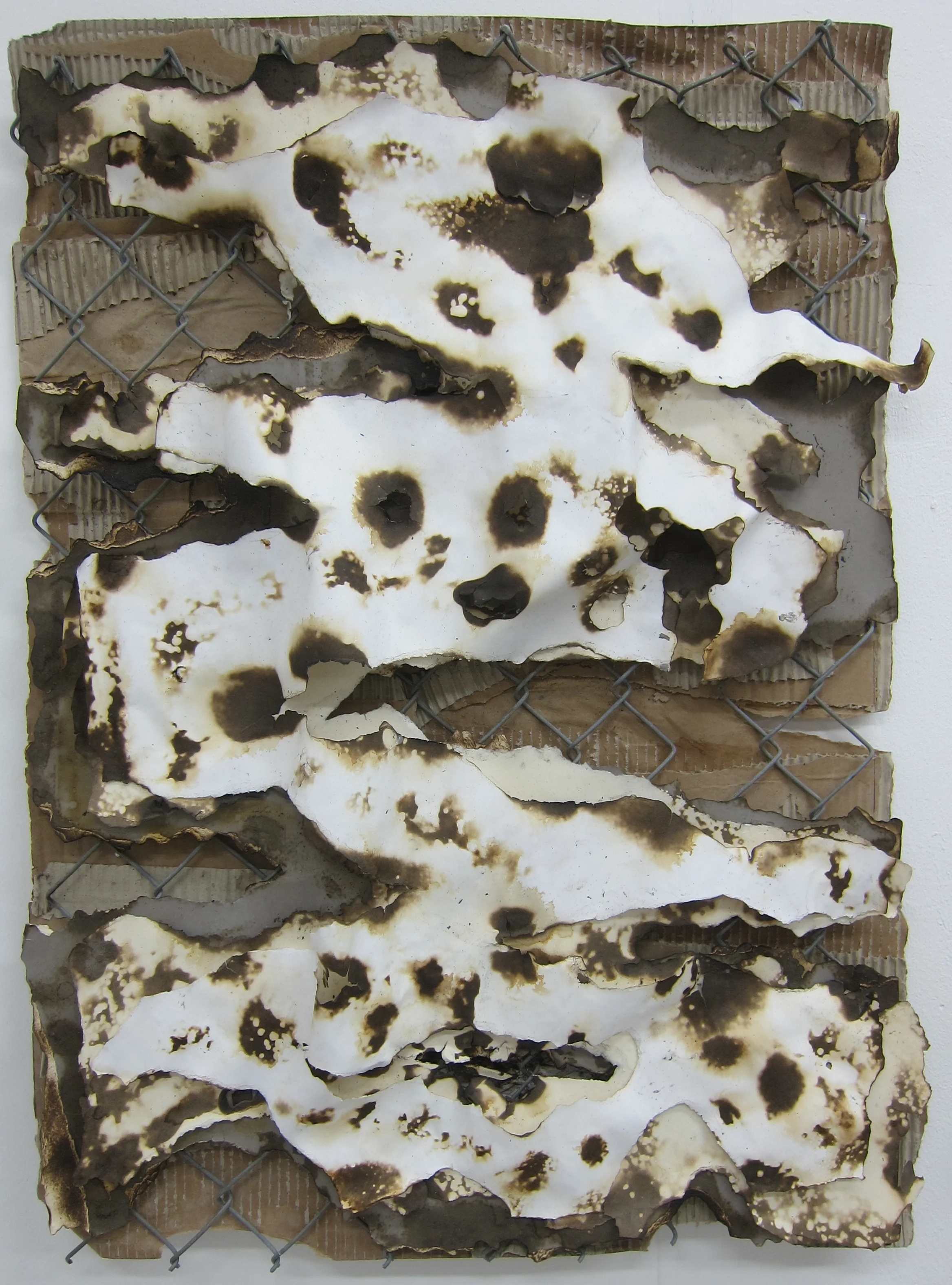 Burnt Lasagne (triple singe). Cardboard, fence, paper, fire and water. 80 x 58 cm. 2015.