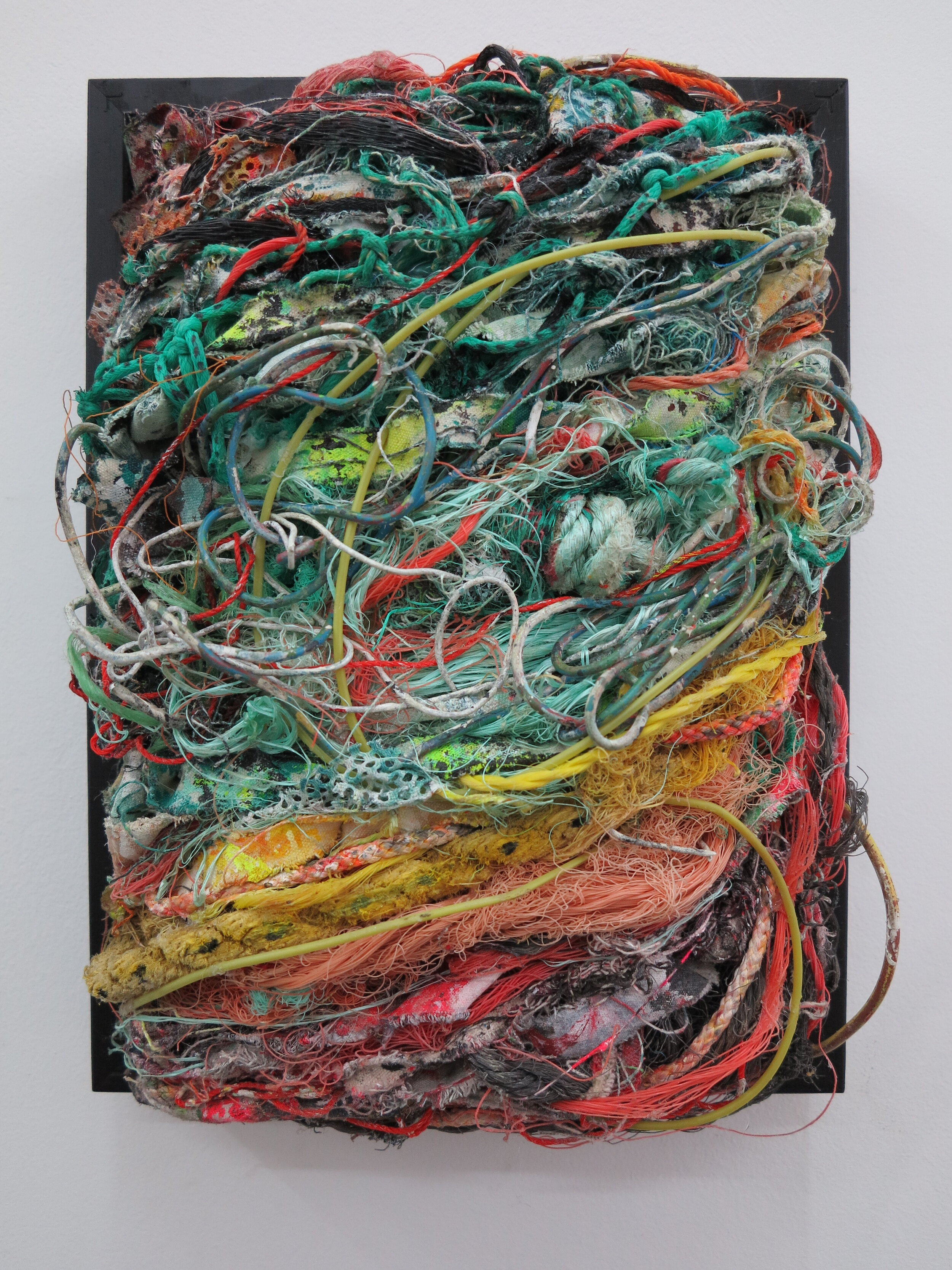   C Creature.   40 x 20 cm  Composite of recovered fishing nets &amp; ‘tagliatelle’ trimmings in a wooden frame.   Private collection 2020.  
