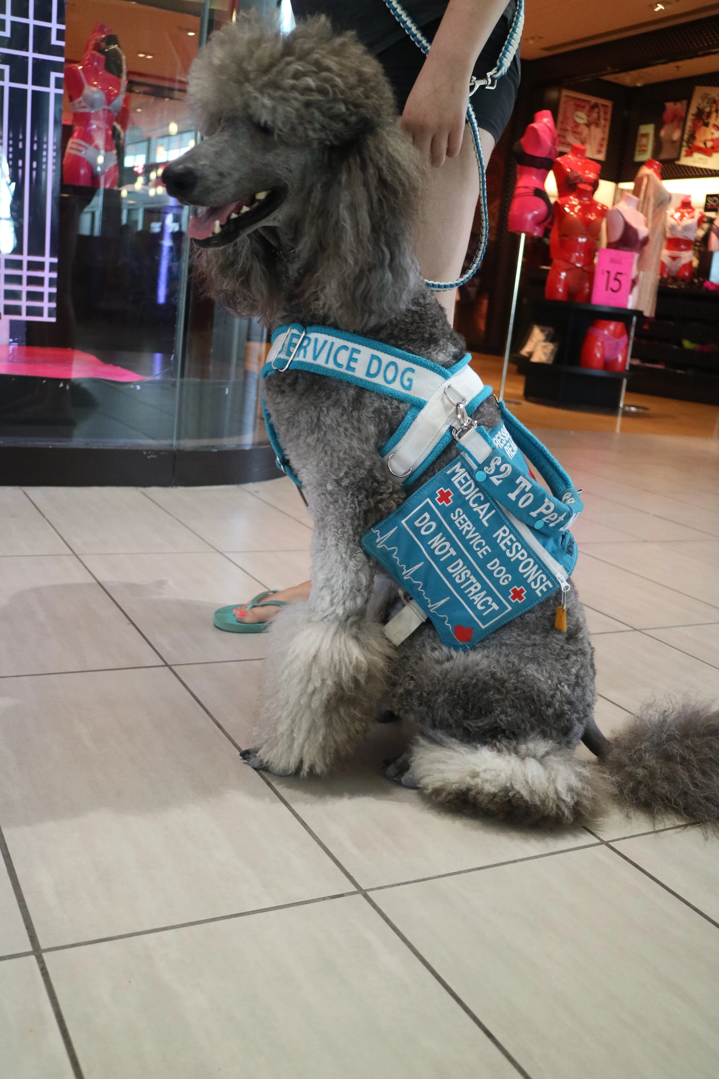 Image-10.png