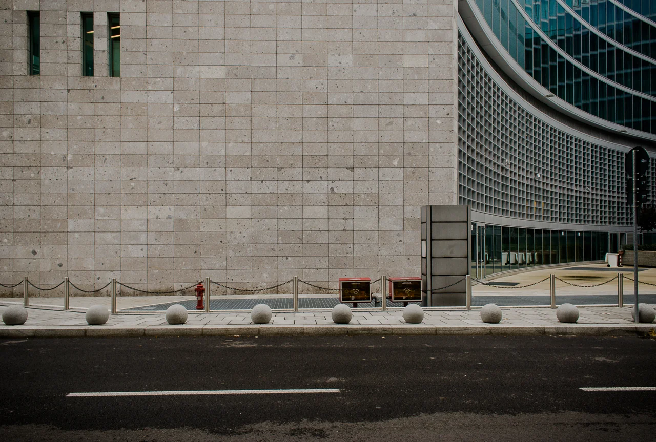 DSC_7849.jpg