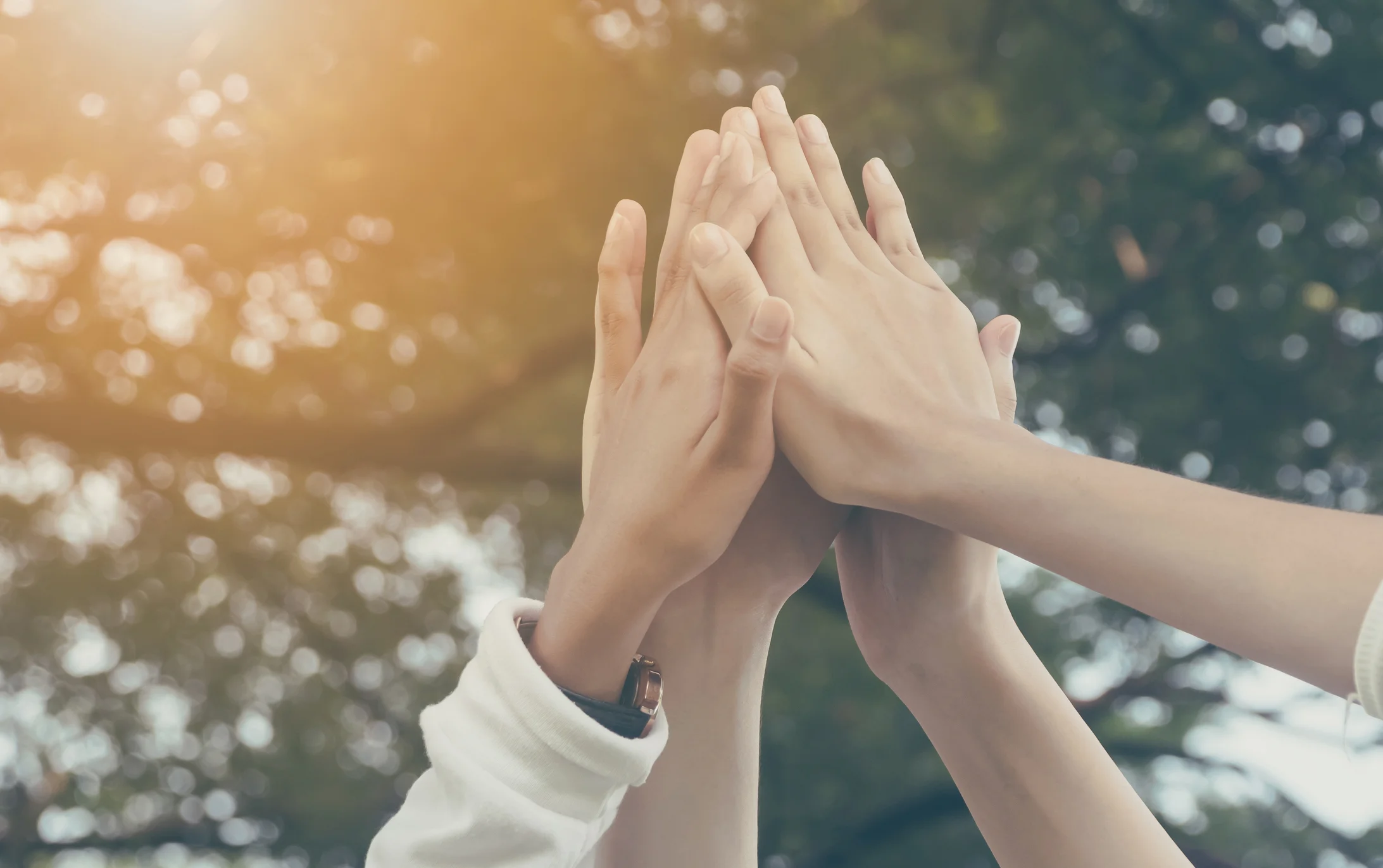 iStock-896164888.jpg