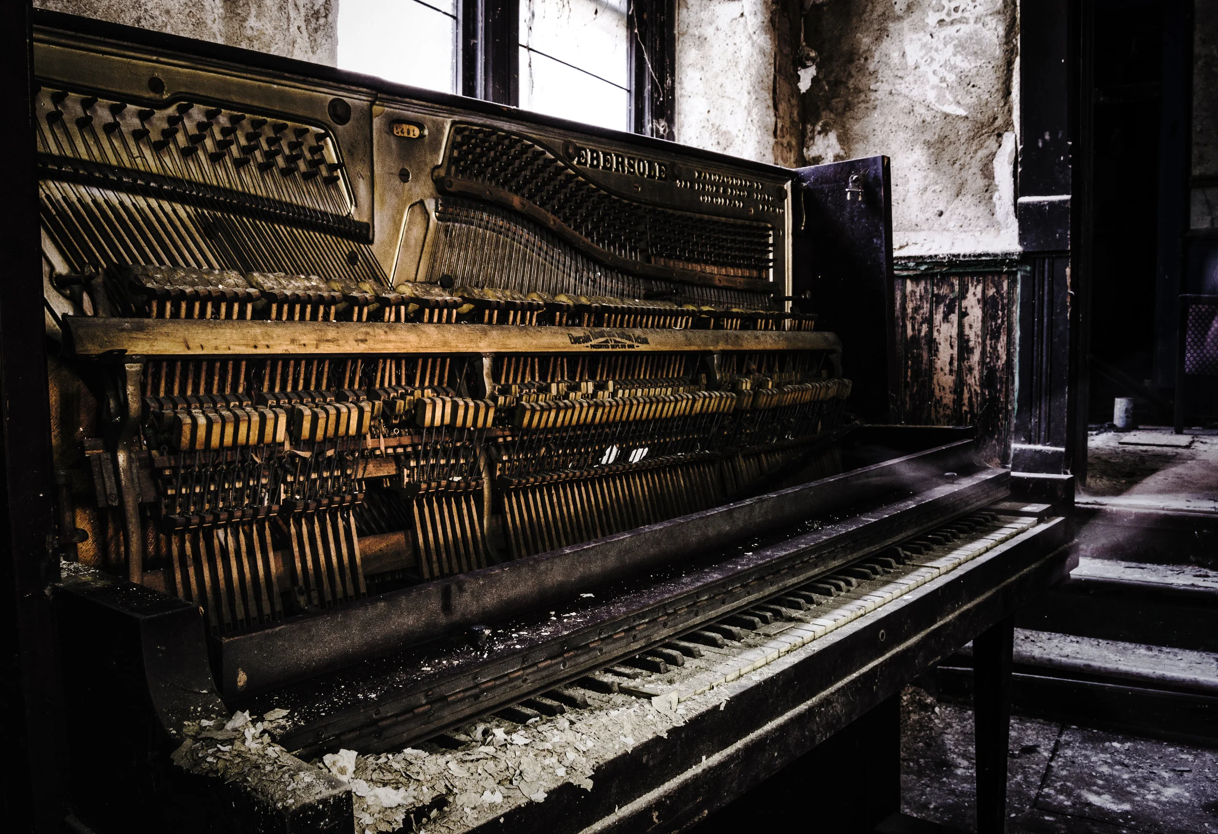 Notes of Decay.jpg