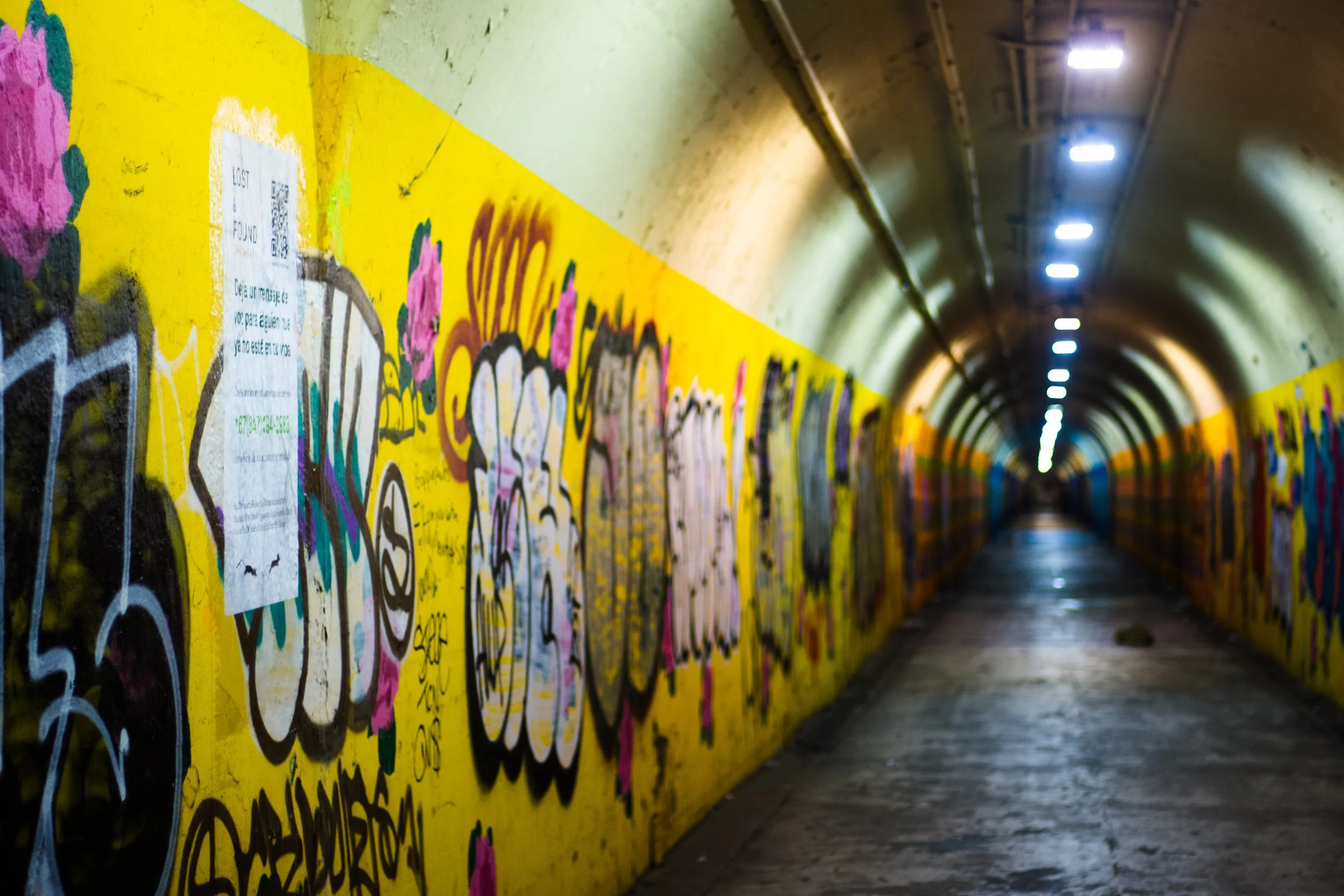 LF_POSTERSAMPLE_JPG (5 of 6).jpg