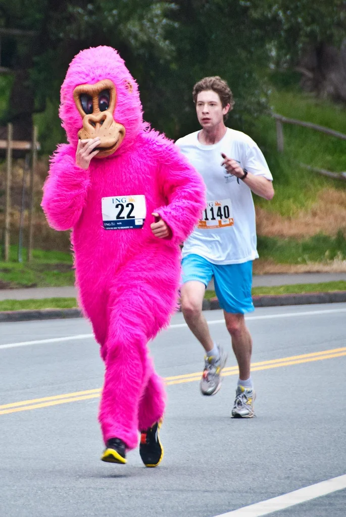 2010_05_16_bay_2_breakers_pink_gorilla.jpg