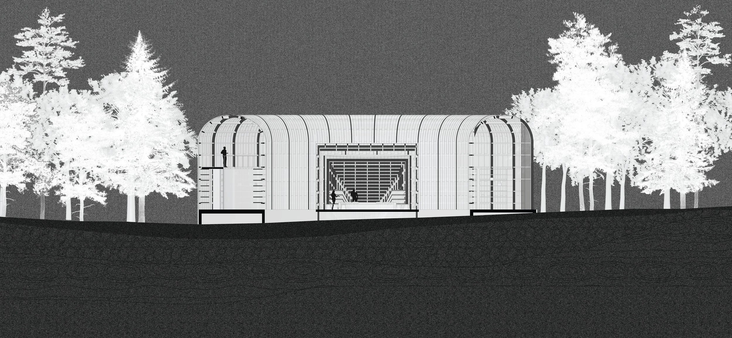 11_dd3135 _ HWB _ Second Detail Section _ 52x 24 _ Orsini copy.jpg