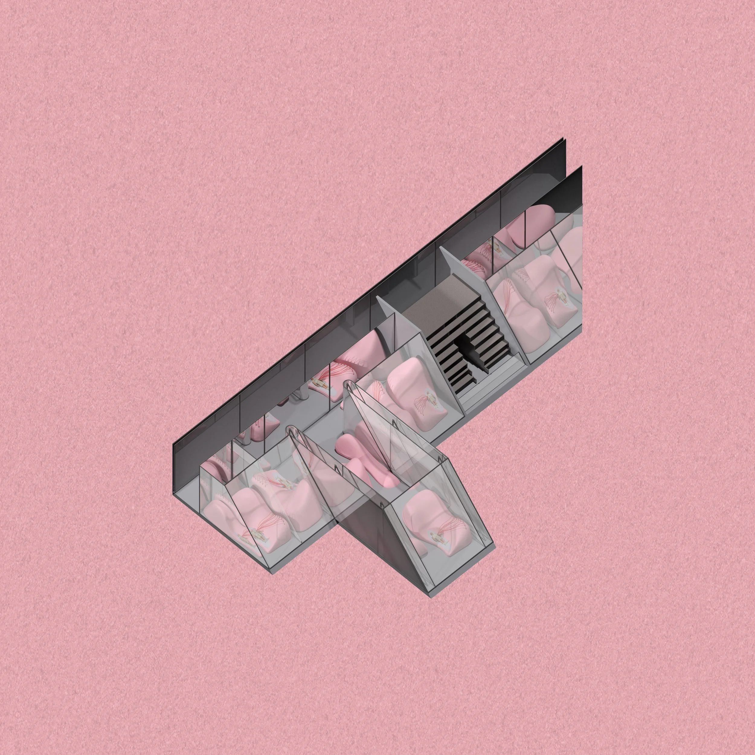 Muscle Lounge Axo copy.jpg