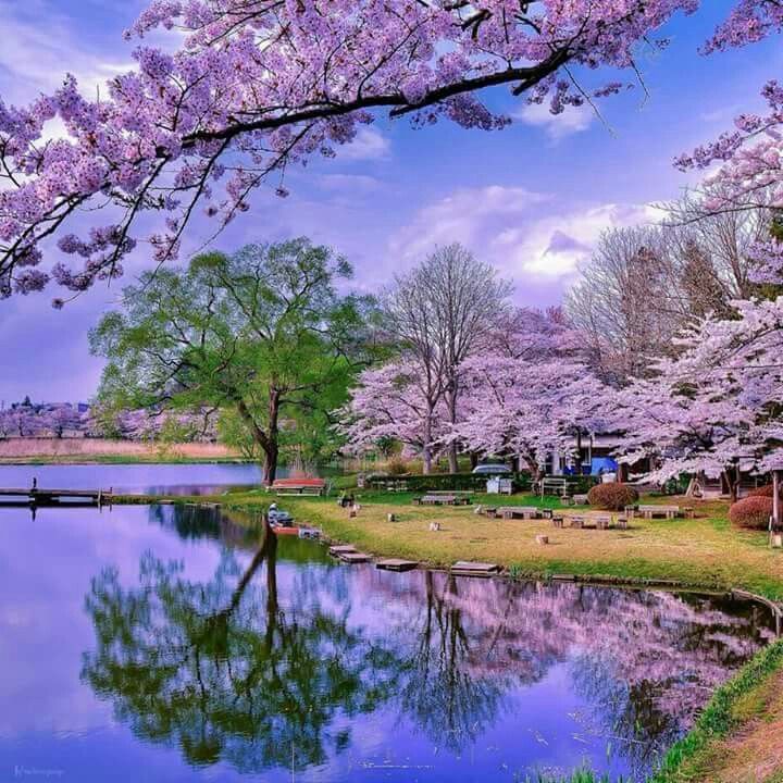 Asia in the Spring