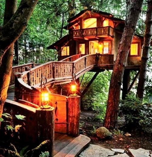 Dinner in the Tree House