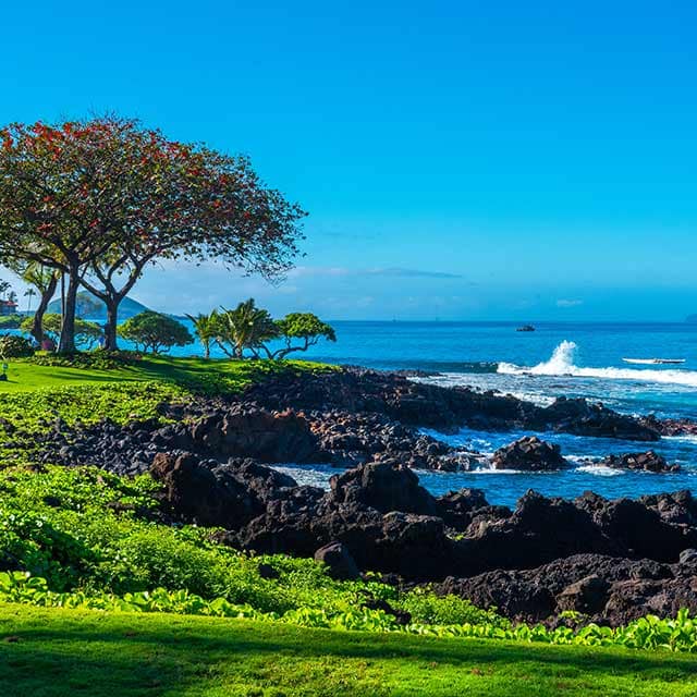Hawaii from $1,809