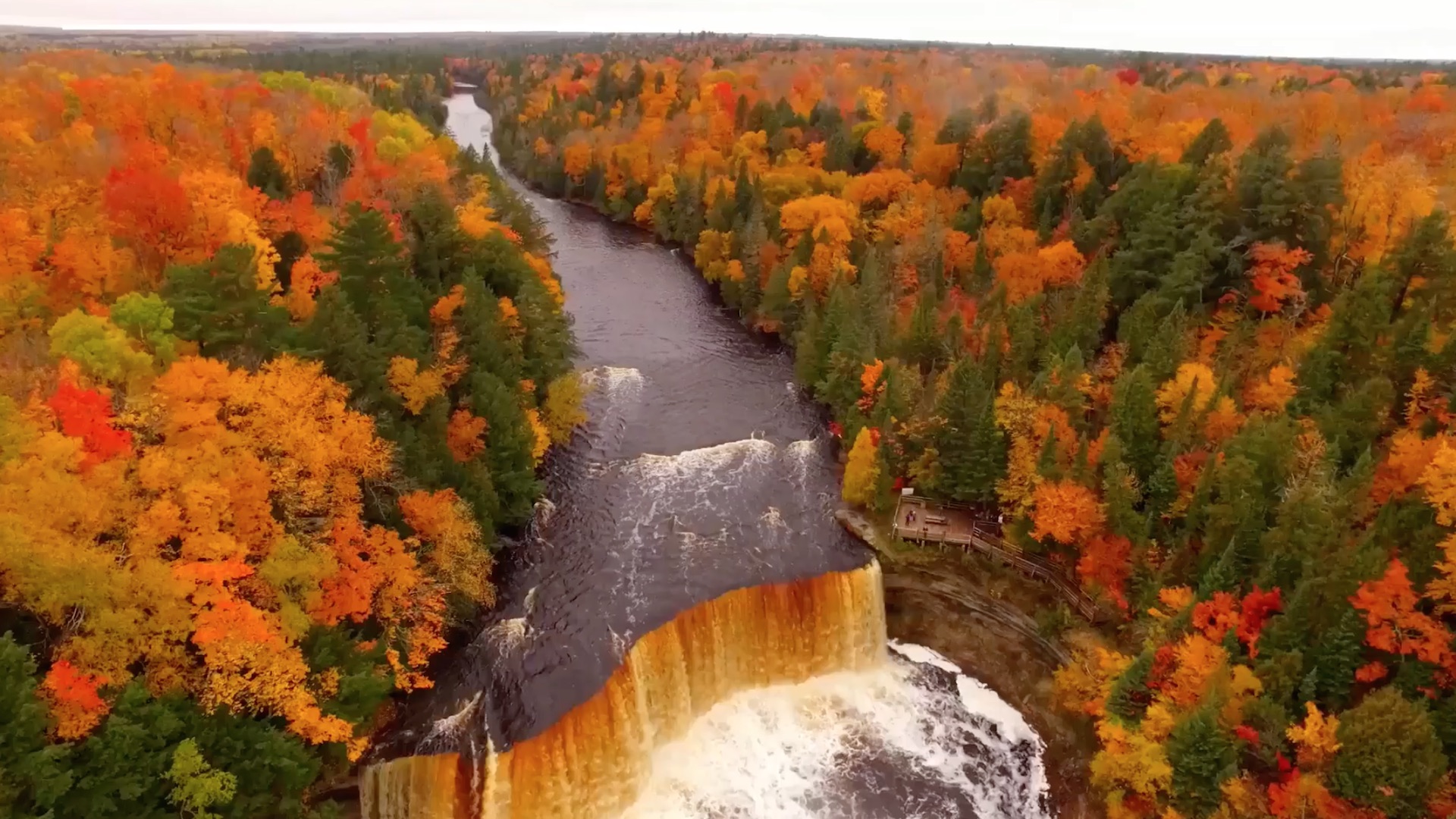 Fall Foliage