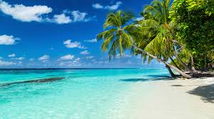 Caribbean Banner 1.jpeg