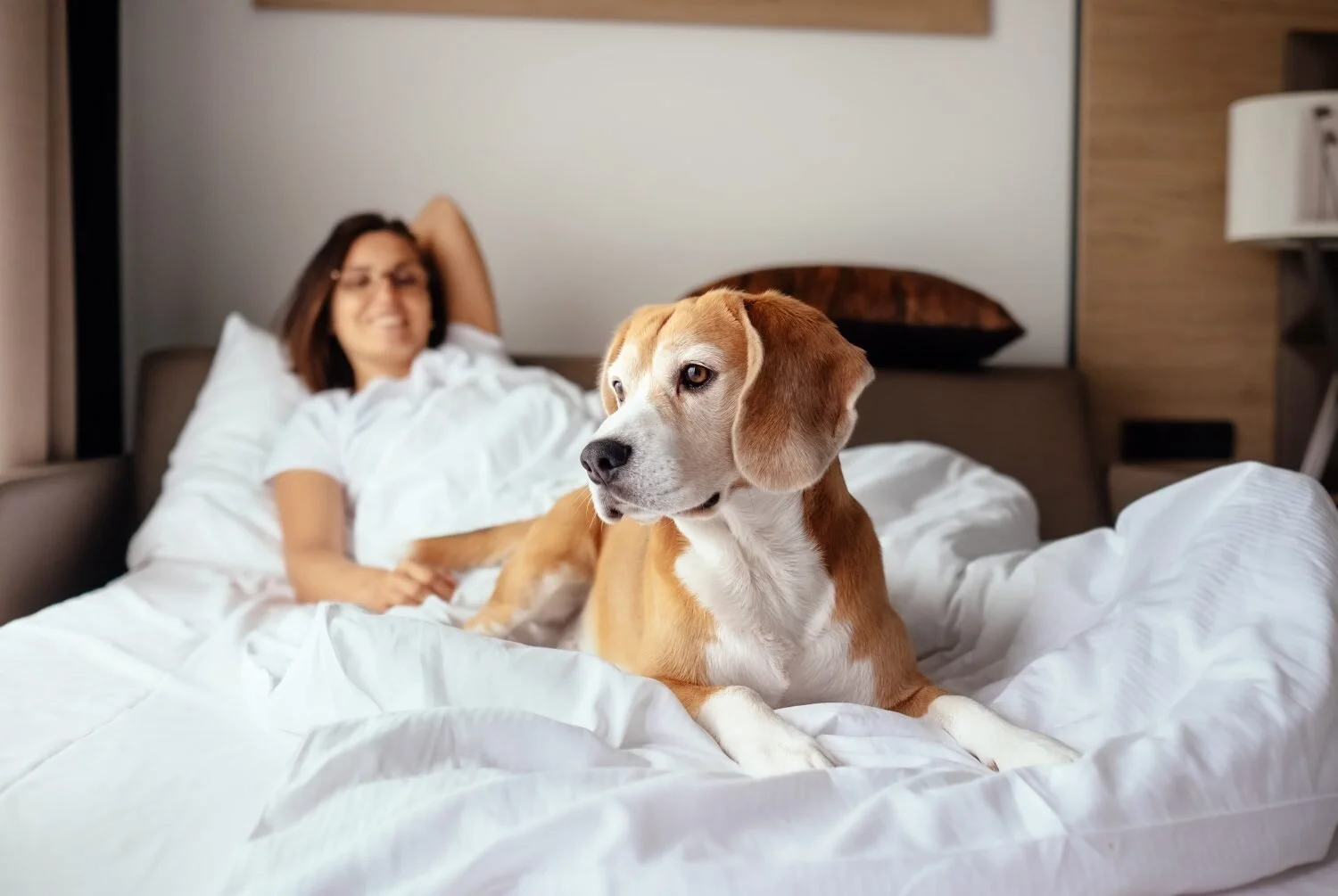 Solution: Contact the hotel by phone For loyalty or rewards guests, this charge could be waived. Lastly you can try and negotiate a reduced fee by pleading that your pet is truly a companion needed for your travels.