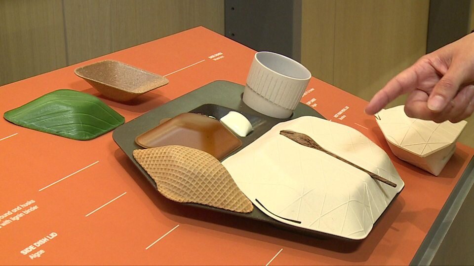 Future Airline Meal Tray-Really?