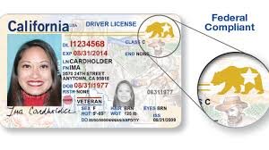 real id.jpeg