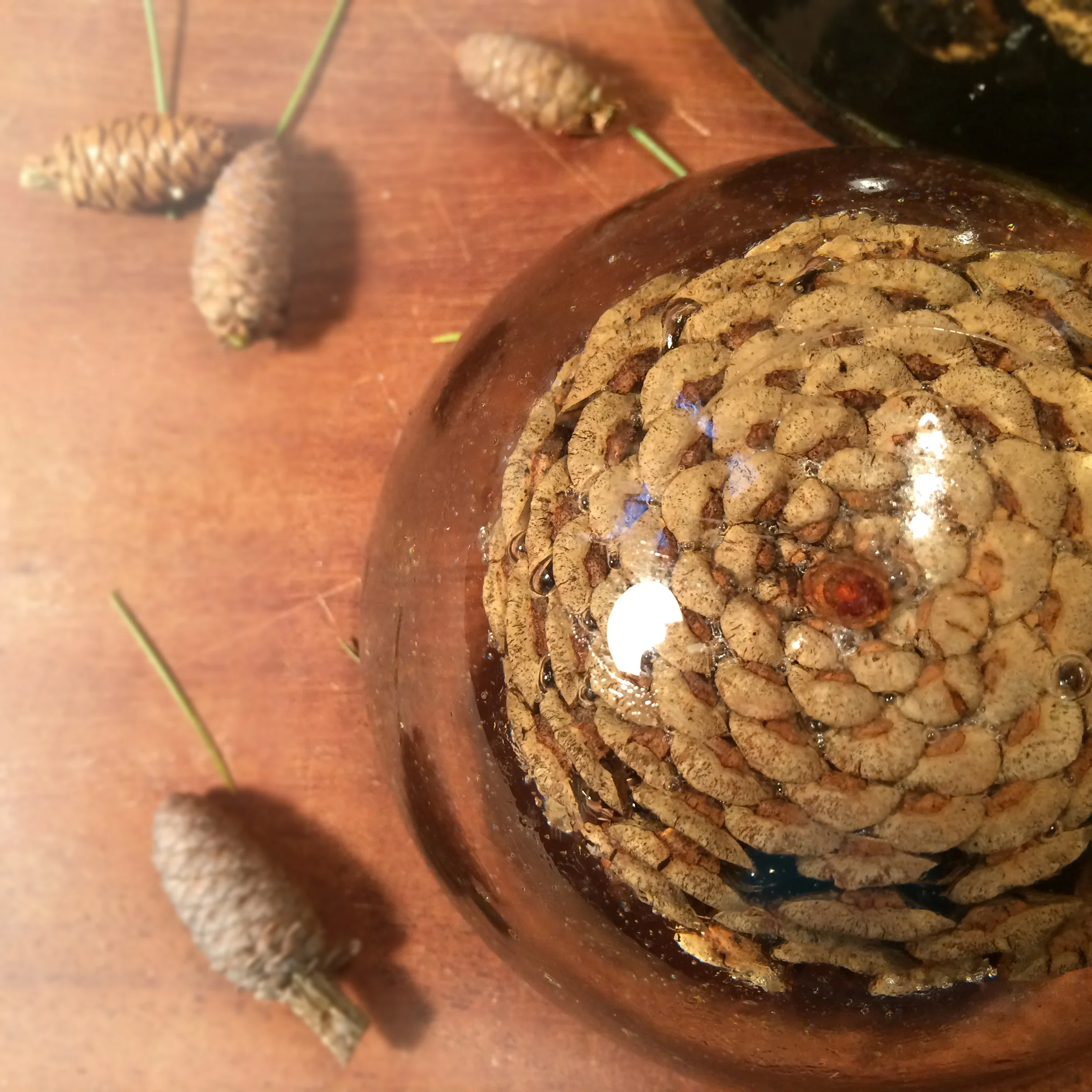 pinecone pw from above.jpg