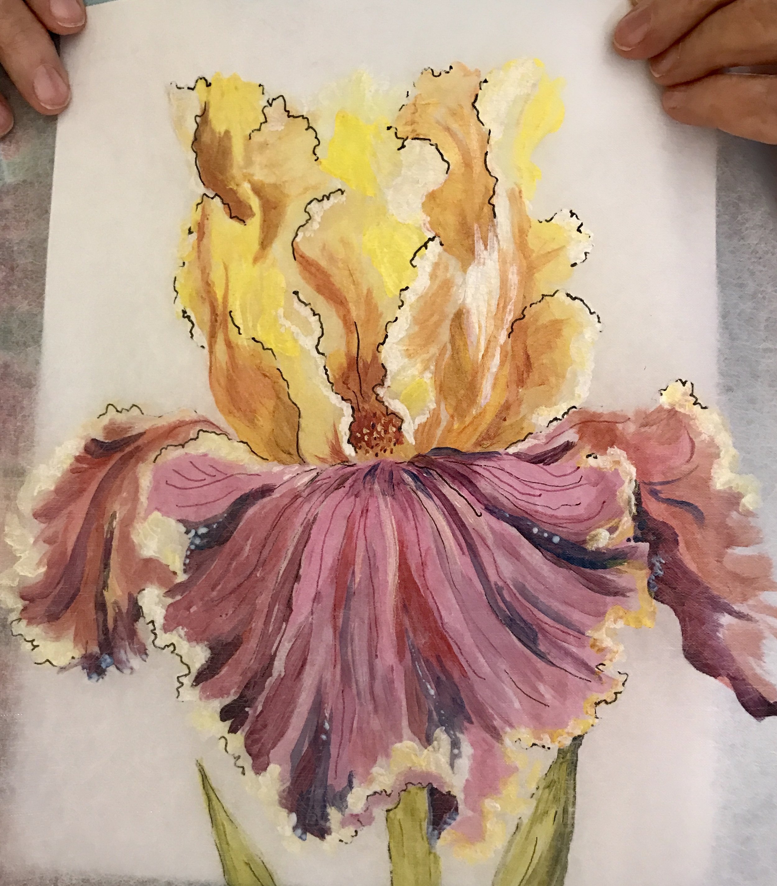 Painted Iris 1.jpg