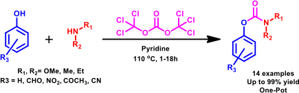 sami & paolo publish again