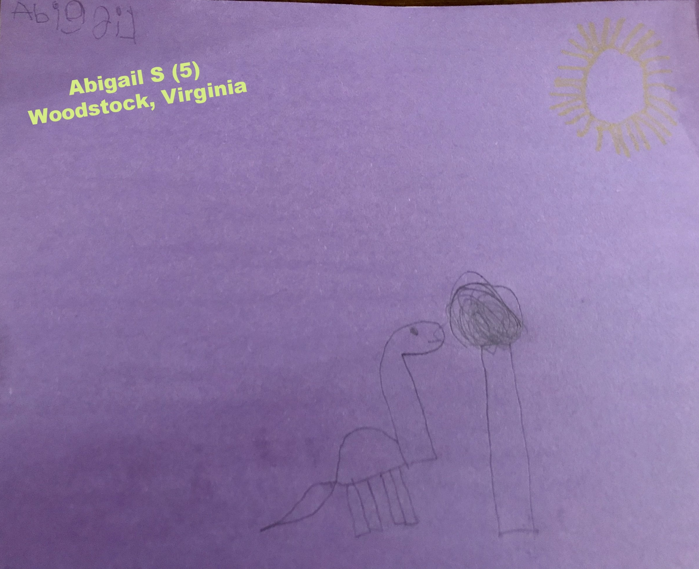 Diplodocus