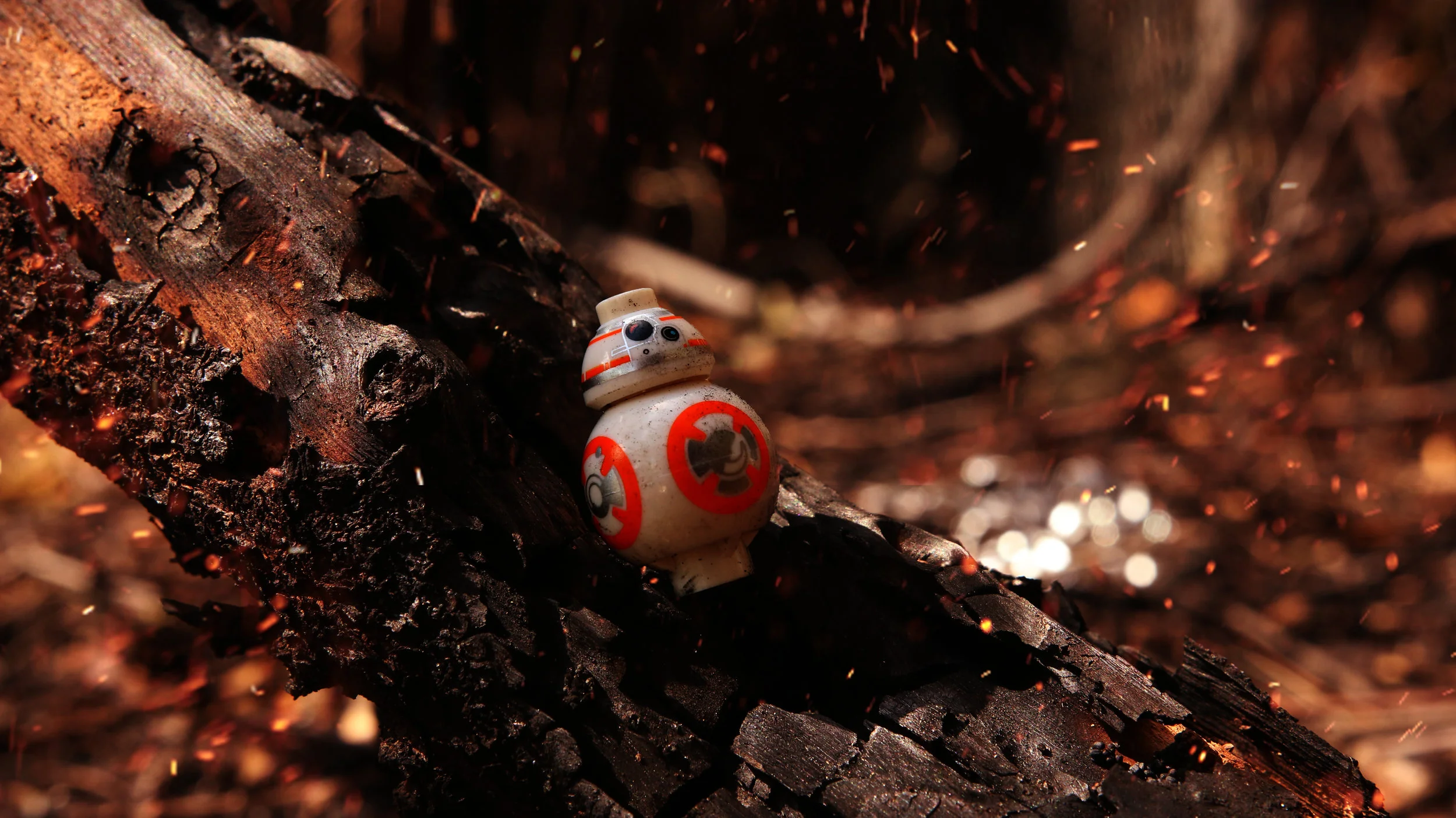 bb-8 take down.jpg