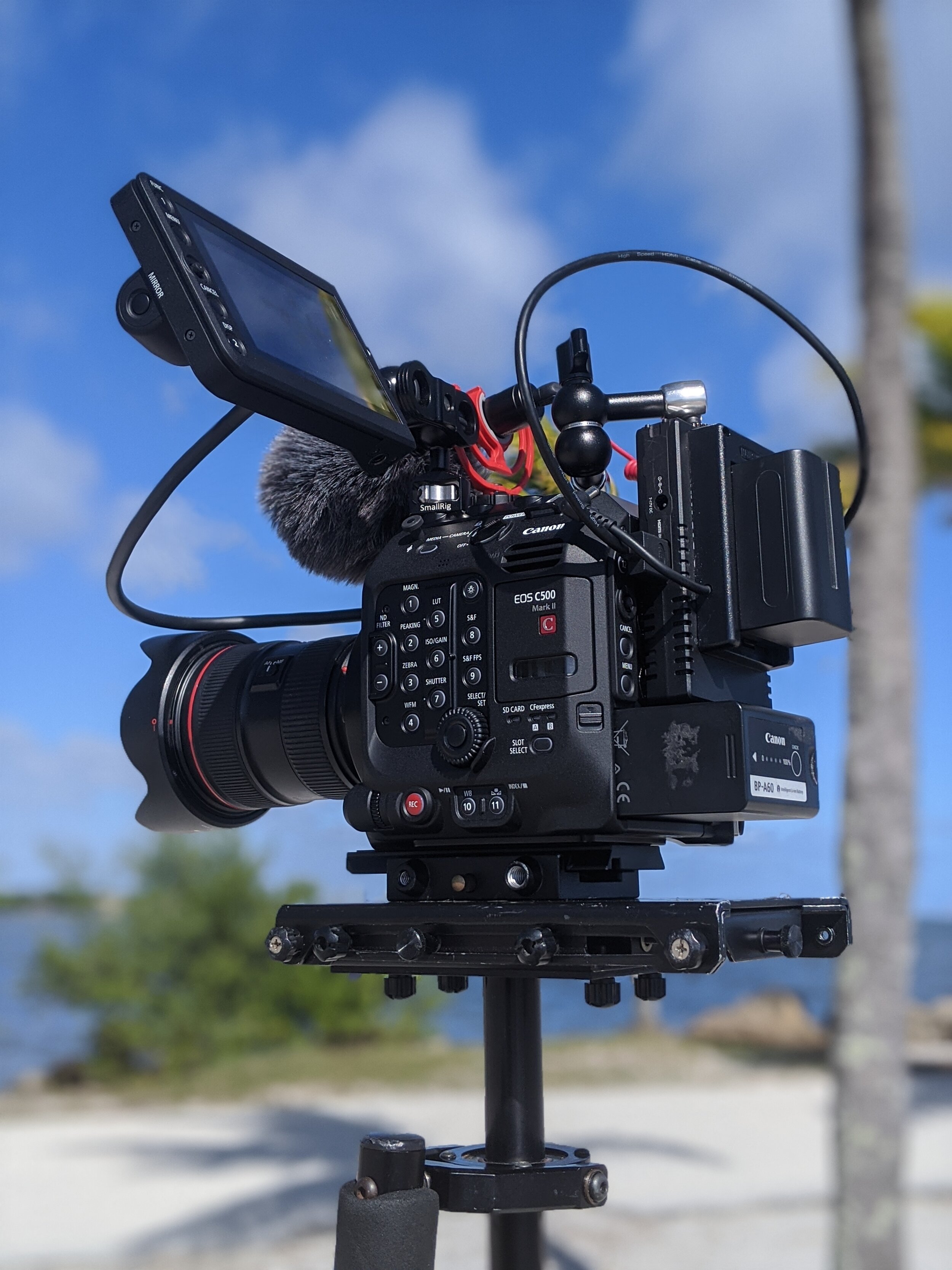 Mi Media Miami Steady Cam Operator Canon C500 Mark II.jpg