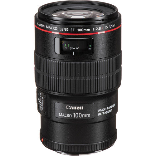 Canon EF 100mm f/2.8L Macro