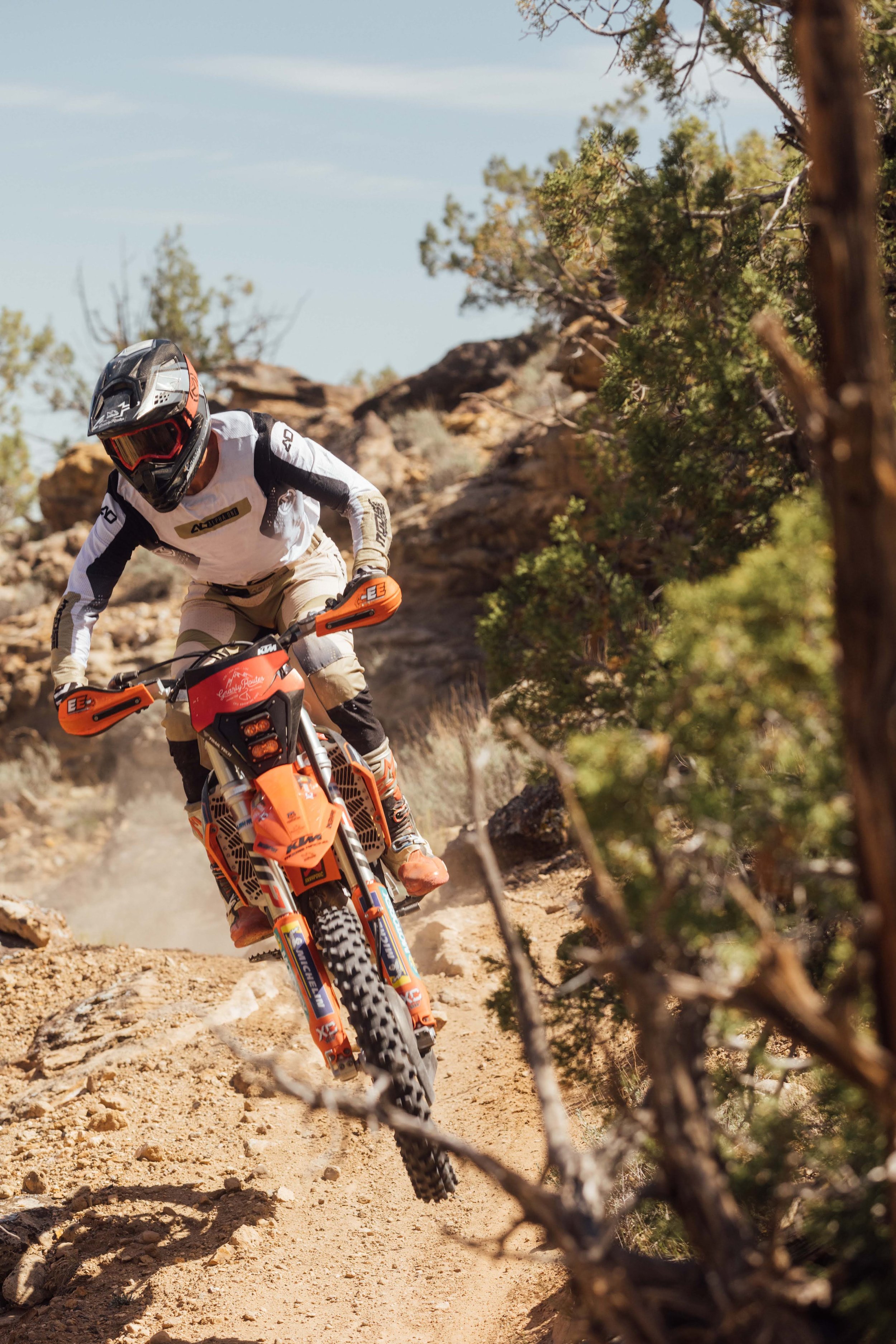 721A6817.jpg