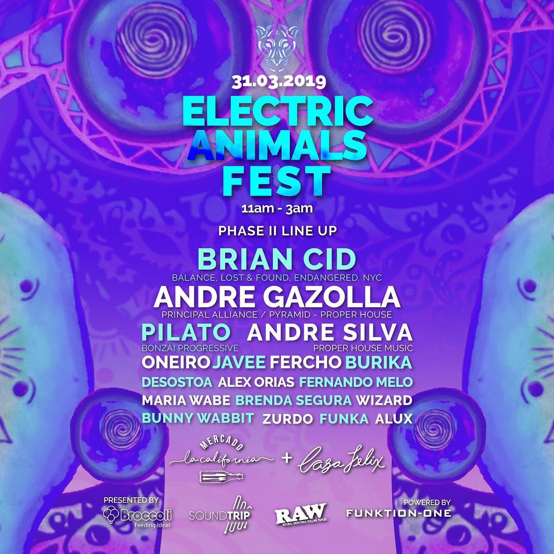 03.31.2019 - Electric Animals Festival, Costa Rica.jpg