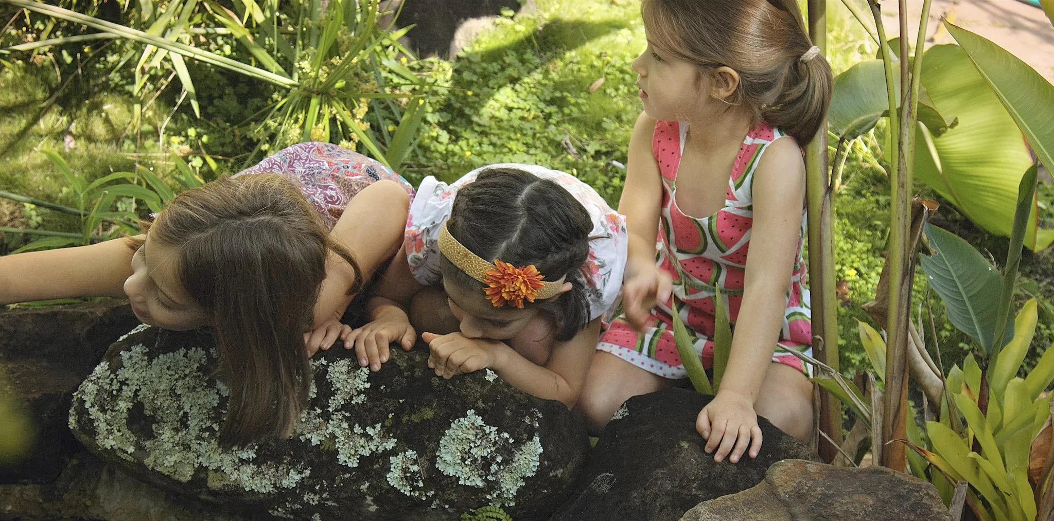 1-salad story 01_1.jpg