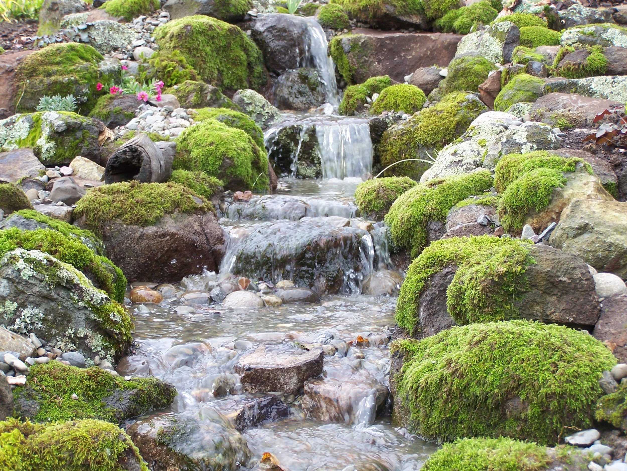 waterfasll (1).jpg
