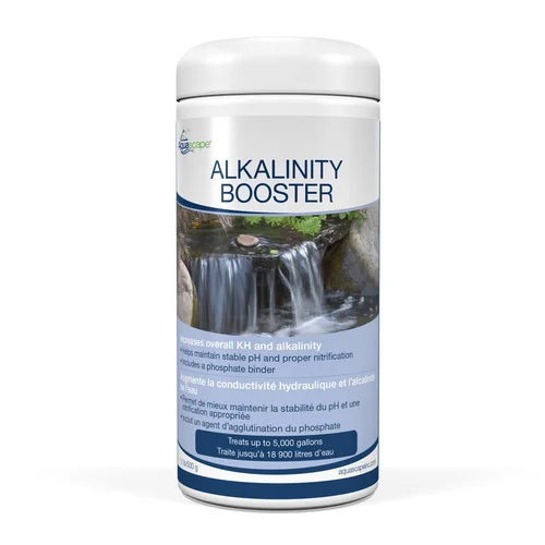 96027_FRNT_PHOTO_CLR_300dpi_AlkalinityBooster500g__71291.1555987547.jpg