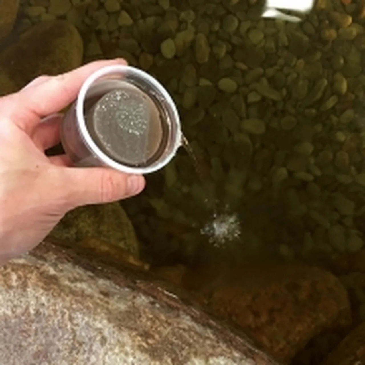 96083-pond-gummy-application-220x220__26669.1556505317.jpg