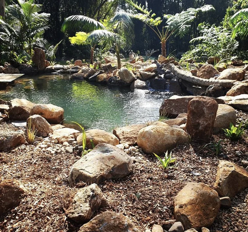 Natural Swimming Pool